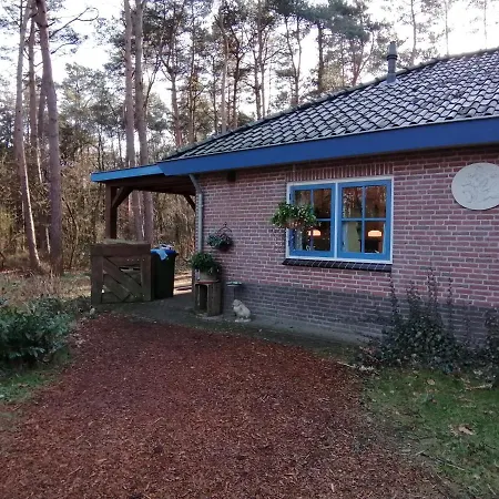 Bos En Heide