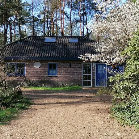 Bos En Heide