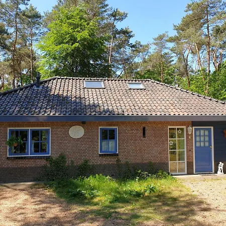 Bos En Heide *