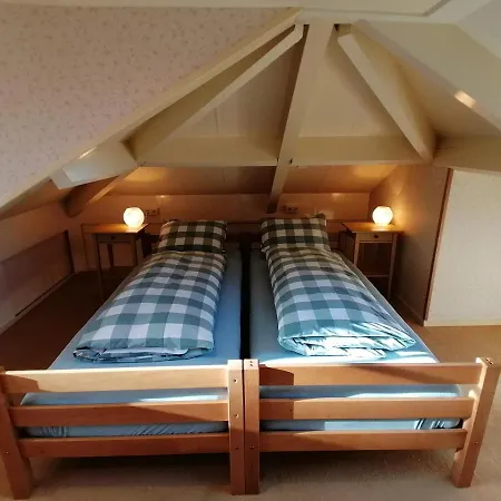 Bos En Heide Ferienhaus