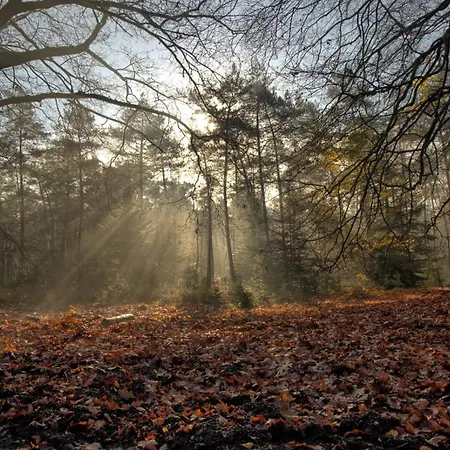 Bos En Heide Tatil Evi Otterlo