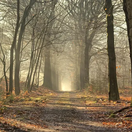 Bos En Heide *
