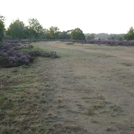 Bos En Heide Holiday home
