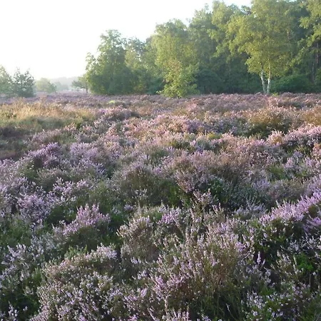 Bos En Heide Otterlo