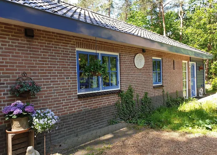 Bos En Heide * Otterlo