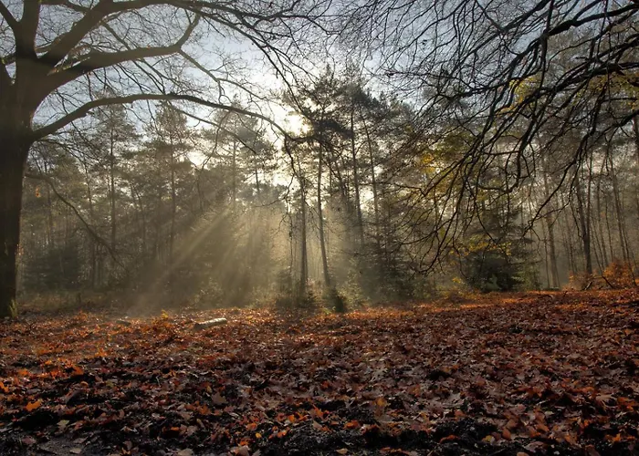 Bos En Heide Prázdninový dům Otterlo