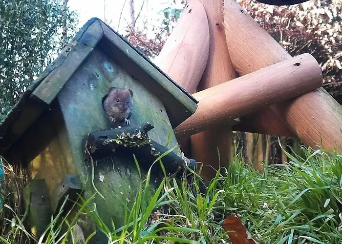 Bos En Heide Prázdninový dům Otterlo