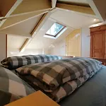 Bos En Heide