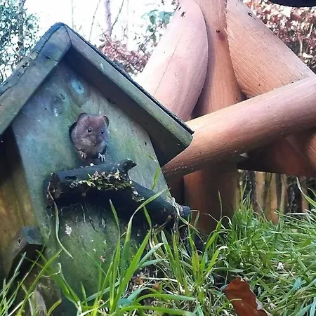 Bos En Heide Dom wakacyjny Otterlo